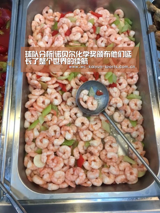 球队分析|诺贝尔化学奖颁布他们延长了整个世界的续航