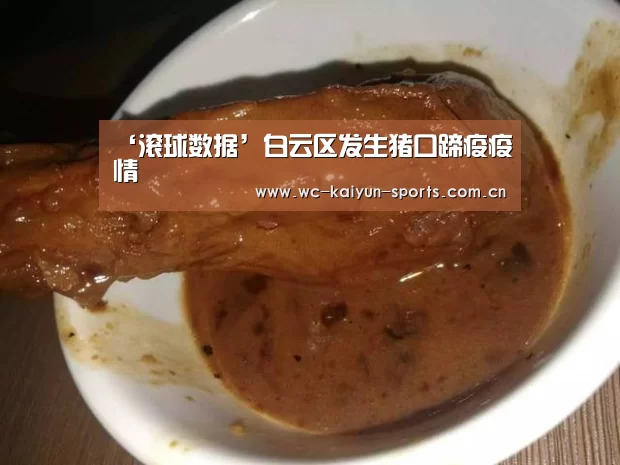 球队分析