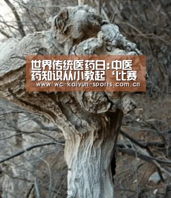 世界杯盘口