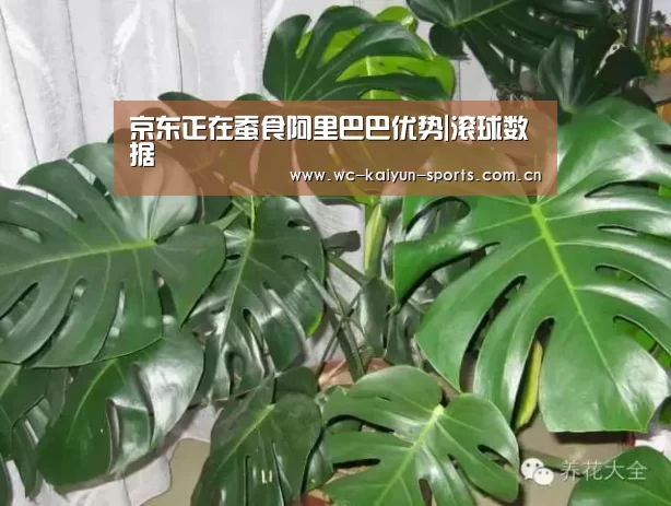 比赛预测